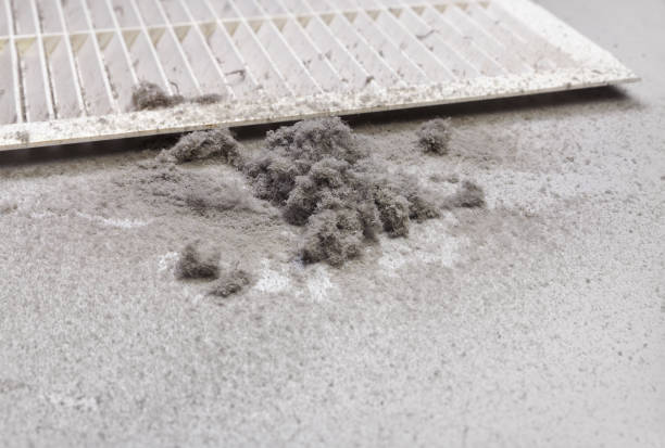 Best Commercial Air Duct Cleaning  in Grand Blanc, MI