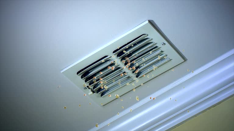 Best General Air Duct Cleaning  in Grand Blanc, MI