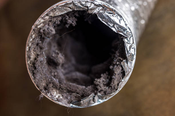 Best Air Quality Test  in Grand Blanc, MI