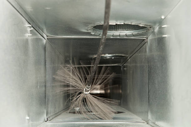 Best Professional Duct Cleaning Services  in Grand Blanc, MI